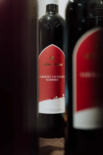 Gulio-Ferenac-gallery-10