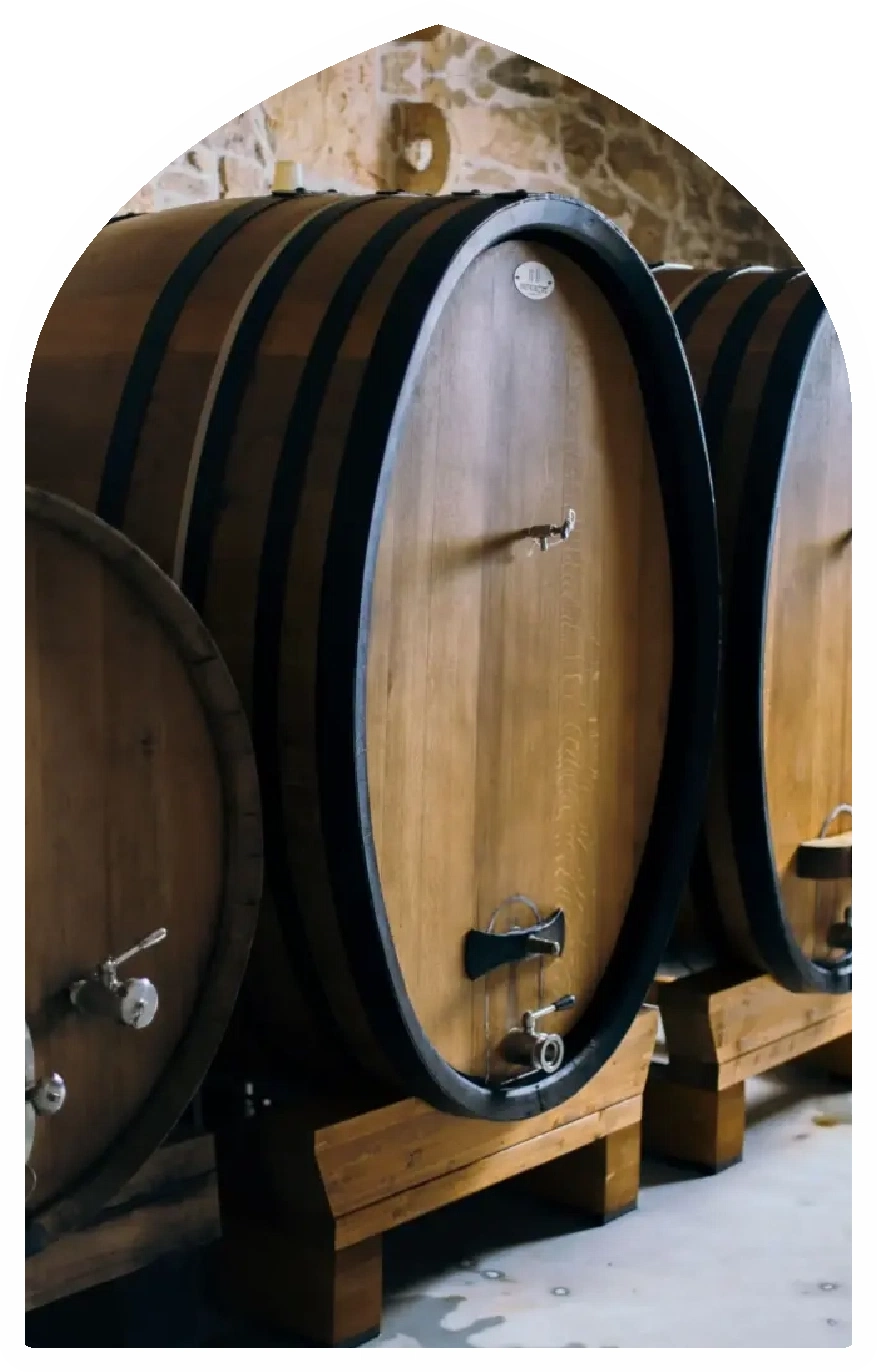 retro digital art of a previous century vineyard